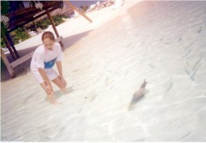 Maldives beach 3