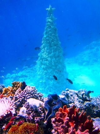 Image result for «Anantara Kihavah Villas christmas tree in maldives