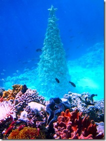 Anantara Kihavah underwater Christmas tree