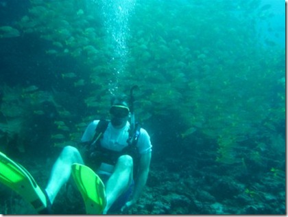 Bruce Lynn diving Maldives