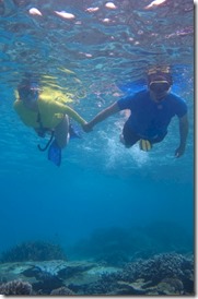 Coco Bodu Hithi snorkeling