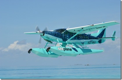 FlyMe whale shark See Plane