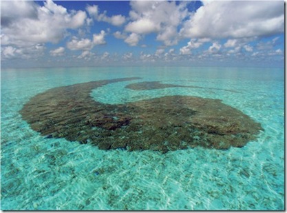 Four Seasons Landaa Giraavaru coral garden Yin-Yang