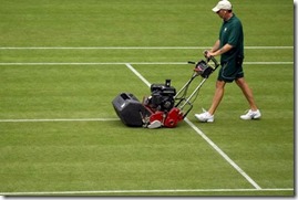 Grass tennis court