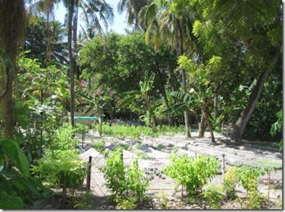 Hudhuranfushi garden