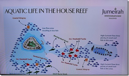 Jumeirah Dhevanafushi - reef plan