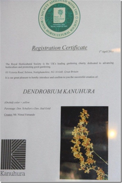 Kanuhura registration certificate