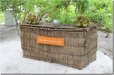 LUX Maldives coconut bar