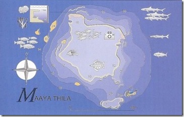 Maayaa Thila Dive Chart