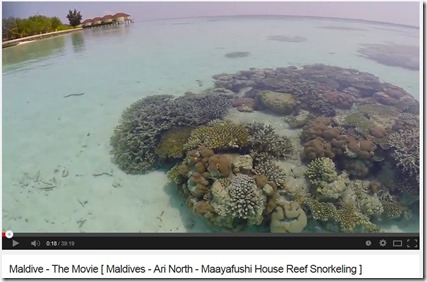 Maayafushi house reef video