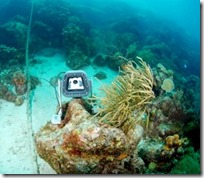 Maldives - underwater webcam