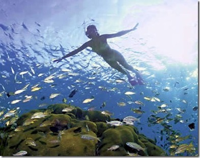 Maldives House Reefs