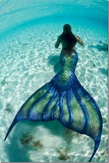 Maldives mermaid