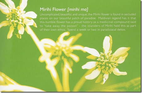Mirihi flower