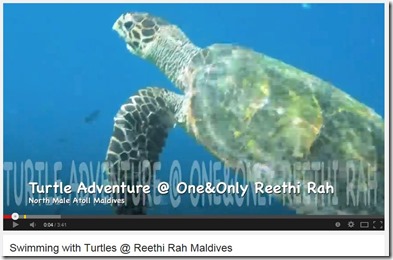 One and Only Reethi Rah Turtle Adventure