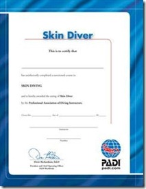 PADI Snorkeling Certification