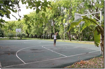 Paradise Island - basketball