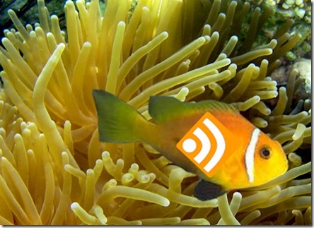 RSS clown fish