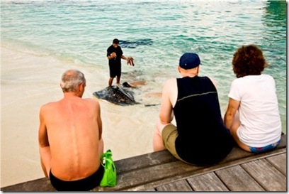 Reethi Beach fish feeding 2