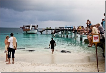 Reethi Beach fish feeding