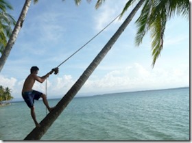 Rope Swing