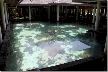 Royal Island - fish pool