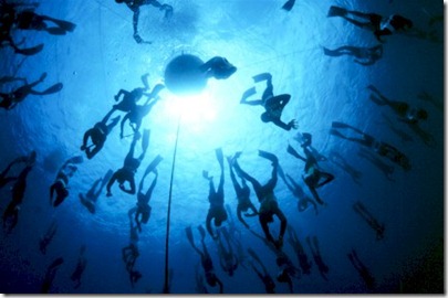 Six Senses Laamu Free Diving