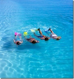 Snorkelling Four Seasons