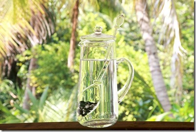 Soneva Fushi energized water pitcher