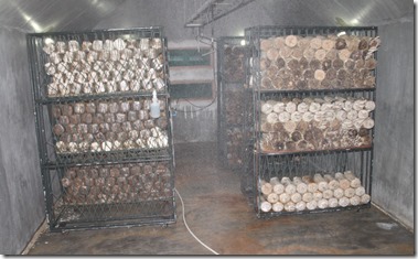 Soneva Fushi mushroom room