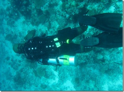 Vilamendhoo side tank diving