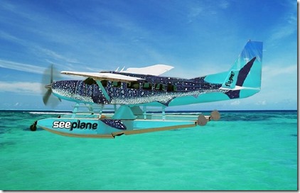 Villa Air Whaleshark plane