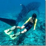 Anantara-Dhigu-Vik-Voynikova-snorkel_thumb.jpg