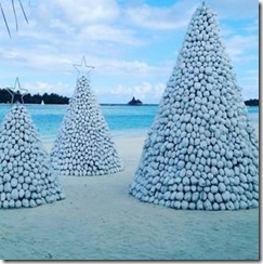 Anantara - coconut Christmas tree 2