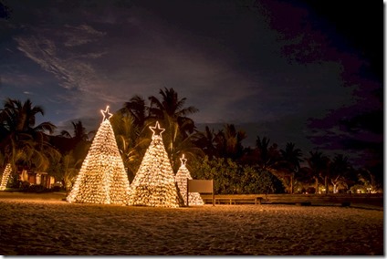 Anantara - coconut Christmas tree