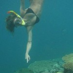 Baros-Amy-Williams.jpg