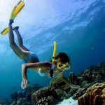 Snorkeller.jpg