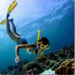 Snorkeller_thumb.jpg