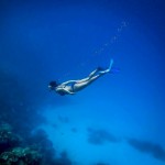White-Shell-Beach-Inn-Maafushi-Yvonne-Melby-Schulze.jpg