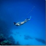 White-Shell-Beach-Inn-Maafushi-Yvonne-Melby-Schulze_thumb.jpg