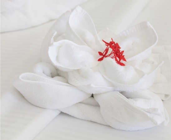 Best of the Maldives: Towel Animals – LUX South Ari Atoll | Maldives  Complete Blog