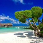 LUX-South-Ari-Atoll-topiary-2.jpg
