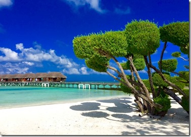 LUX South Ari Atoll - topiary 2