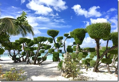LUX South Ari Atoll - topiary