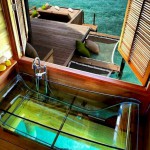 Six-Senses-Laamu-glass-tub.jpg