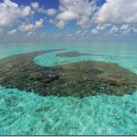 Four-Seasons-Landaa-Giraavaru-coral-topiary_thumb.jpg