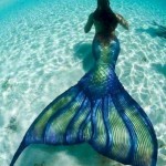 Embudu-Mystery-Mermaid.jpg