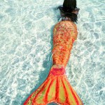Hulhumale-Rose-in-Wonderland.jpg