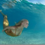 Mermaid-Golden_thumb.jpg
