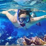 Canareef-snorkeling-1_thumb.jpg